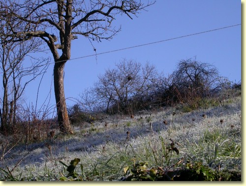 2003-12-09 11 59 28Img.JPG