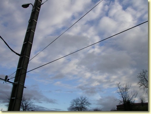 2003-12-19 10 01 53Img.JPG