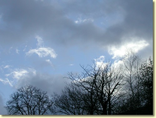 2004-01-26 10 10 22Img.JPG