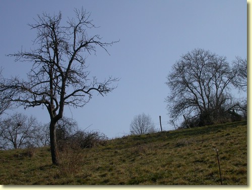 2004-03-02 11 39 13Img.JPG
