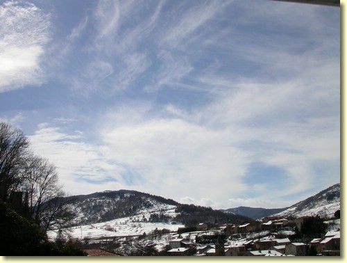 2005-03-03 13 23 24Img.jpg