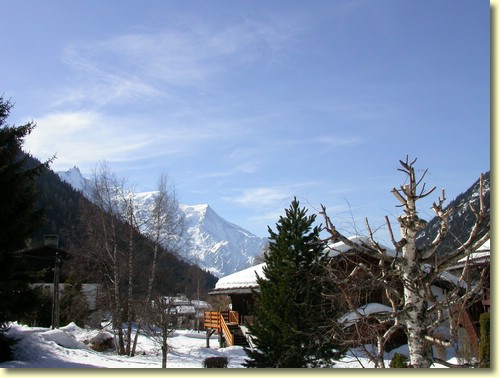 2005-03-17 11 09 06Img.jpg