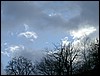 2004-01-26 10 10 22Img.JPG
