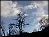 2004-01-27 09 47 34Img.JPG