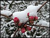 2004-02-20 09 55 25Img.JPG
