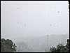 2004-02-29 15 04 32Img.JPG