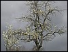 2004-04-20 14 49 14Img.JPG