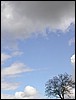 2004-05-07 12 30 35Img.JPG