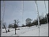2005-02-24 11 58 58Img.jpg