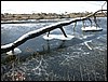 2005-02-26 15 13 54Img.jpg