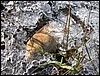 2005-02-26 15 24 24Img.jpg