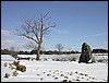 2005-03-02 15 41 12Img.jpg