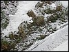 2005-03-04 09 25 46Img.jpg