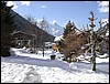2005-03-08 11 31 38Img.jpg