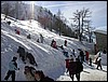 2005-03-13 15 34 14Img.jpg