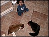 2005-03-24 07 39 36Img.jpg