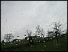 2005-03-31 07 44 12Img.jpg