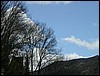 2005-04-25 12 22 06Img.jpg