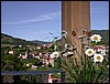 2005-05-26 08 48 32Img.jpg