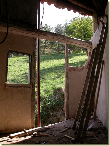 DSCN1650.JPG