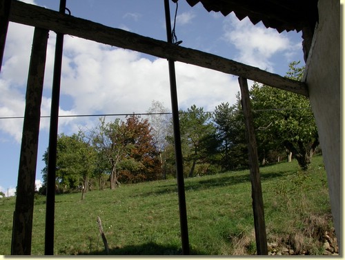 DSCN1654.JPG