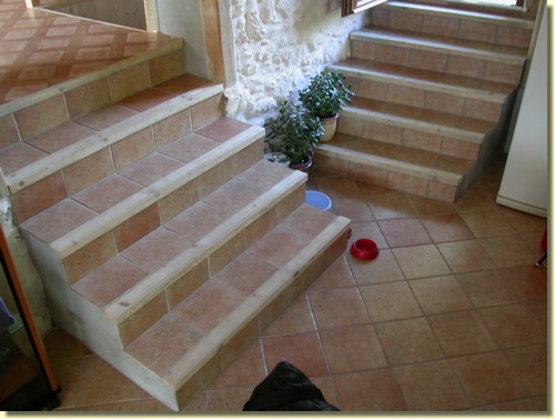 DSCN6536.JPG