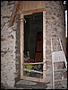 2005-03-31 18 53 30Img.jpg