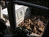 DSCN1601.JPG