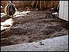 DSCN1610.JPG