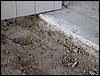 DSCN1611.JPG