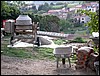 DSCN1622.JPG