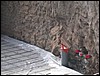 DSCN1632.JPG