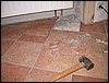 DSCN5401.JPG