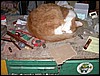 DSCN5441.JPG