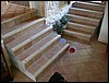 DSCN6536.JPG